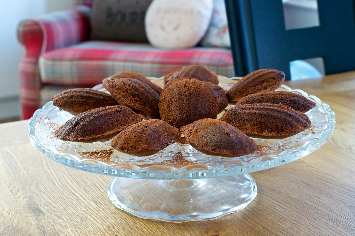 Chocolate madeleines filled with black cherry conserve