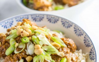 Instant Pot Chicken Satay